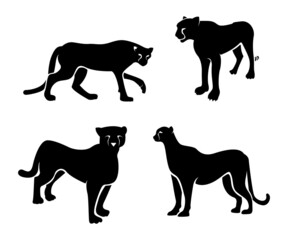 silhouette of cheetah, cheetah and panther, running cheetah, jaguar