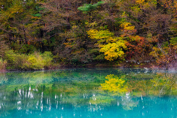 紅葉に彩られる福島・裏磐梯の絶景　青色の水面が美しい五色沼