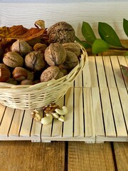 On the oak table there are wooden pallets with walnuts and hazelnuts on them