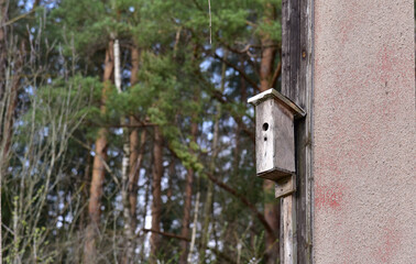 Birdhouse for birds on a tree in the forest. Home for bird in wildlife