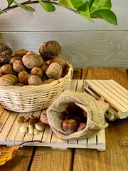On the oak table there are wooden pallets with walnuts and hazelnuts on them - obrazy, fototapety, plakaty
