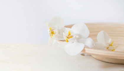Obraz na płótnie Canvas Pink Orchid Zen Style Panoramic