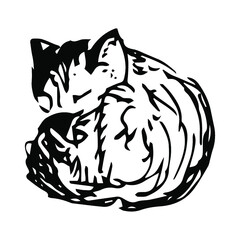 vector silhouette of a curled up cat