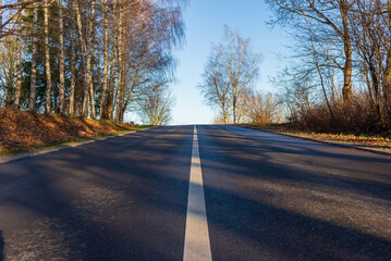 Fototapeta premium Asphalt road with white lane runs through the forest in autumn evening.