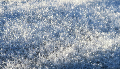 Close-up of snowflakes in the sun on a blurry background. Bright snow, frost sparkles in the sun.