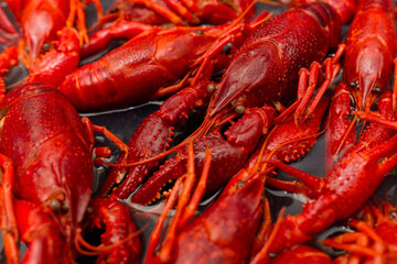 Chinese Spicy crayfish, Chinese Food.boiled crayfish on an iron plate. boiled red crayfish background for menu. top view, closeup,soft focus image.