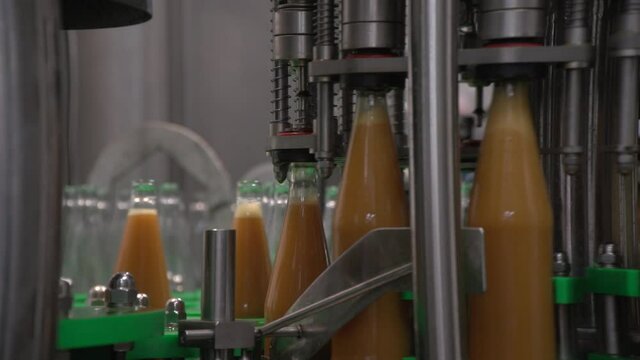 Close up inside of mechanism bottling line filling bottles. Orange-colored sea-buckthorn juice in glass bottles. Pan counter bottles moving