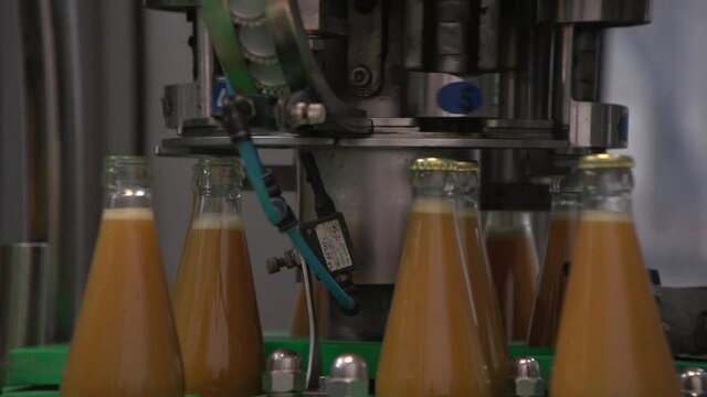 Close up of capping glass bottles inside bottling line. Filled sea-buckthorn juice bottles moving and capping metallic caps