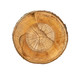 Felled piece of wood from a tree trunk with growth rings isolated on white.