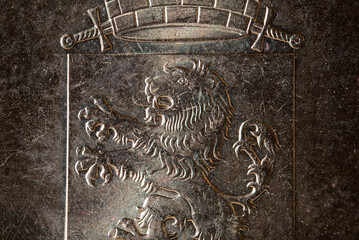 Lion on the coat of arms of the city of Rzhev. Russian coin, ultra macro photography