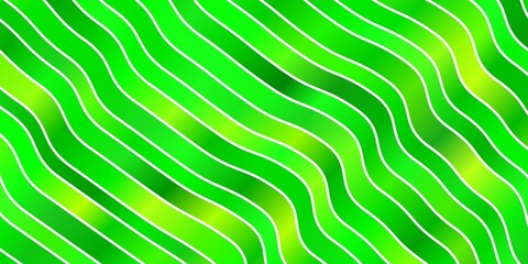 Fototapeta premium Light Green vector backdrop with curves.