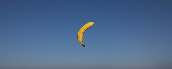 Obraz na płótnie Canvas Ripe banana flying in the air
