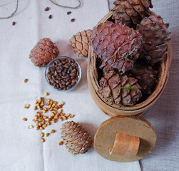 Pine nuts and cones on grey background