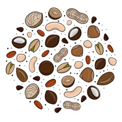 Nuts vector set. Modern flat design. 10 EPS