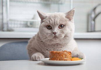 cat and pet food