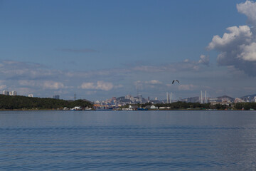 day view of the sea, islets, capes, white clouds, a seagull bird flying in the blue sky and the city in the background. Shot in the Novik harbor on island Russky in Vladivostok, Russia