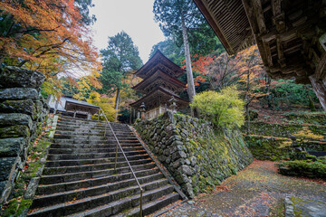 秋の横蔵寺境内