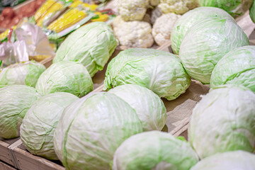 Fototapeta premium cabbage in the boxes in the stores