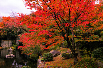 渓石園の紅葉