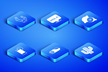 Set Cactus, Burrito, Tequila glass with lemon, Hola and Lime icon. Vector © vector_v