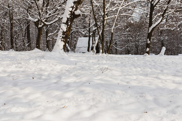 A hut in a winter forest
