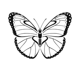 Butterfly silhouette isolated. Vector illustration, outline icon.