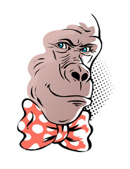 Gorilla head on a white background. A sly smile on his face. There is a bow tie on the neck. Animal primate caricature. Vector black and white isolated sketch. Pop art illustration
