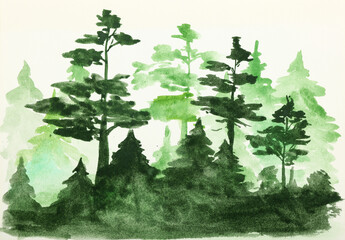 Watercolor coniferous forest