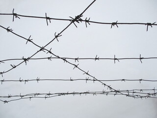 Barbed wire on light snow background