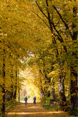 Obraz premium cycling in the park