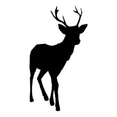 Vector Black Silhouette of Deer