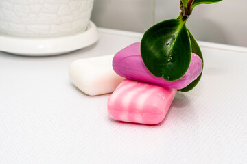three bars of soap on the table in the bathroom with a houseplant