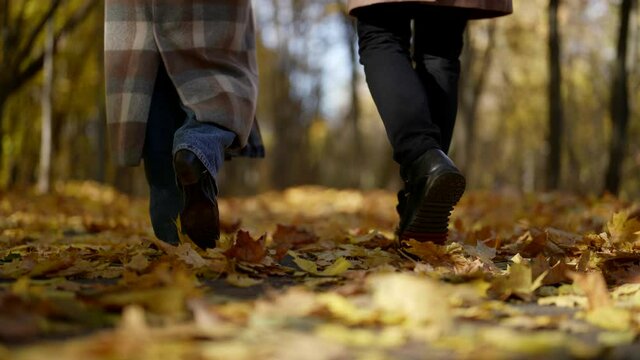 loving man and woman are strolling together in forest in early autumn, closeup of feet