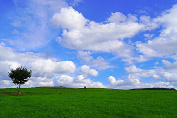 Fototapeta na wymiar Landscape in the Sauerland near Oberhenneborn. Green meadows with blue sky and white clouds. 