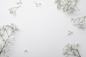 Beautiful gypsophila flowers on white background, flat lay. Space for text