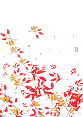 Green Berries Background White Vector. Leaves Pattern Design. Yellow Herb Autumn. Decorative Texture. Foliage October.