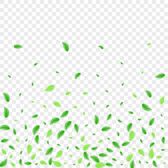 Light Green Vegetation Background Transparent Vector. Leaves Watercolor Design. Growth Texture. Green Symbol Frame. Plant Icon.