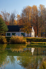 The Rybaczowka pond in Wygoda Park in Sosnowiec. Autumn 2021. Forest. Trees.  - obrazy, fototapety, plakaty