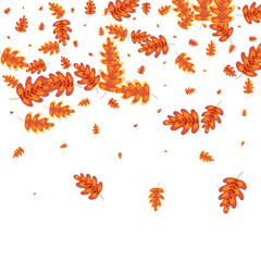 Red Leaves Background White Vector. Acorn Cartoon Illustration. Green Oak. Collection Texture. Golden Plant Natural.