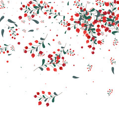 Red Herb Background White Vector. Foliage Isolated Texture. Green Leaves Decorative. Material Set. Rowan Sale.