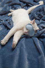 Beautiful white cat sleeps in a mask on a plush blanket