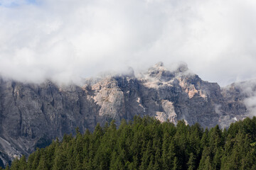 Coniferous forest on the background of the Italian Dolomites after the rain