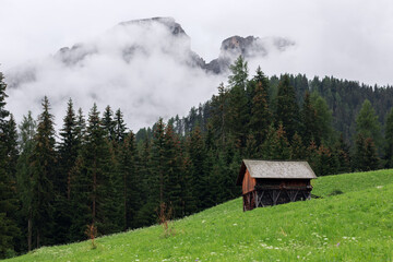 Alpine landscape on a foggy day (Italian Dolomites, Alto Adige)