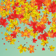 Naklejka na ściany i meble Autumnal Floral Background Green Vector. Foliage September Frame. Colorful Design Plant. Shape Leaf Card.