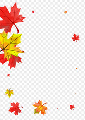 Orange Floral Background Transparent Vector. Foliage Collection Card. Brown Ground Leaf. Wallpaper Plant Frame.