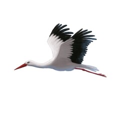 flying stork watercolor style illustration, animal clipart - obrazy, fototapety, plakaty