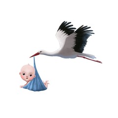 flying stork with newborn boy, watercolor style illustration, children's clipart good