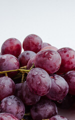 Purple grapes on a white background with drops on the fruits