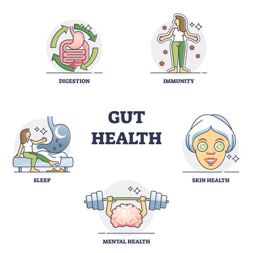 Gut health benefits and medical effect from healthy flora outline collection set. Labeled educational examples with digestion system impact to immunity, sleep, skin and mentality vector illustration.