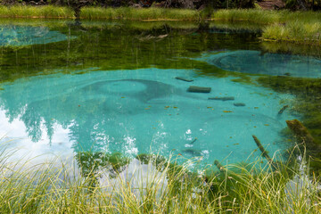 Blue geyser lake in Altai mountains, Altai Republic, Siberia, Russia